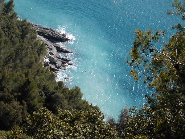 Gli splendidi colori del mare tra i pini e il granito (Portofino)