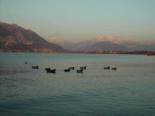I stupendi colori del lago di Pusiano... sullo sfondo il monte Resegone innevato.