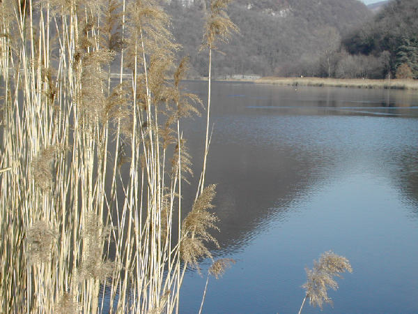 L'accogliente paesaggio al lago del Segrino.